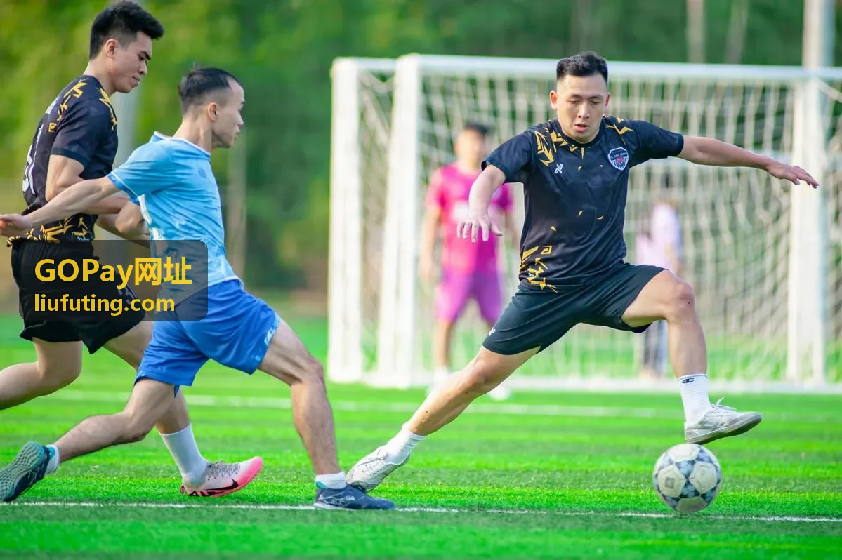 GOPay网址 统计筛选画面