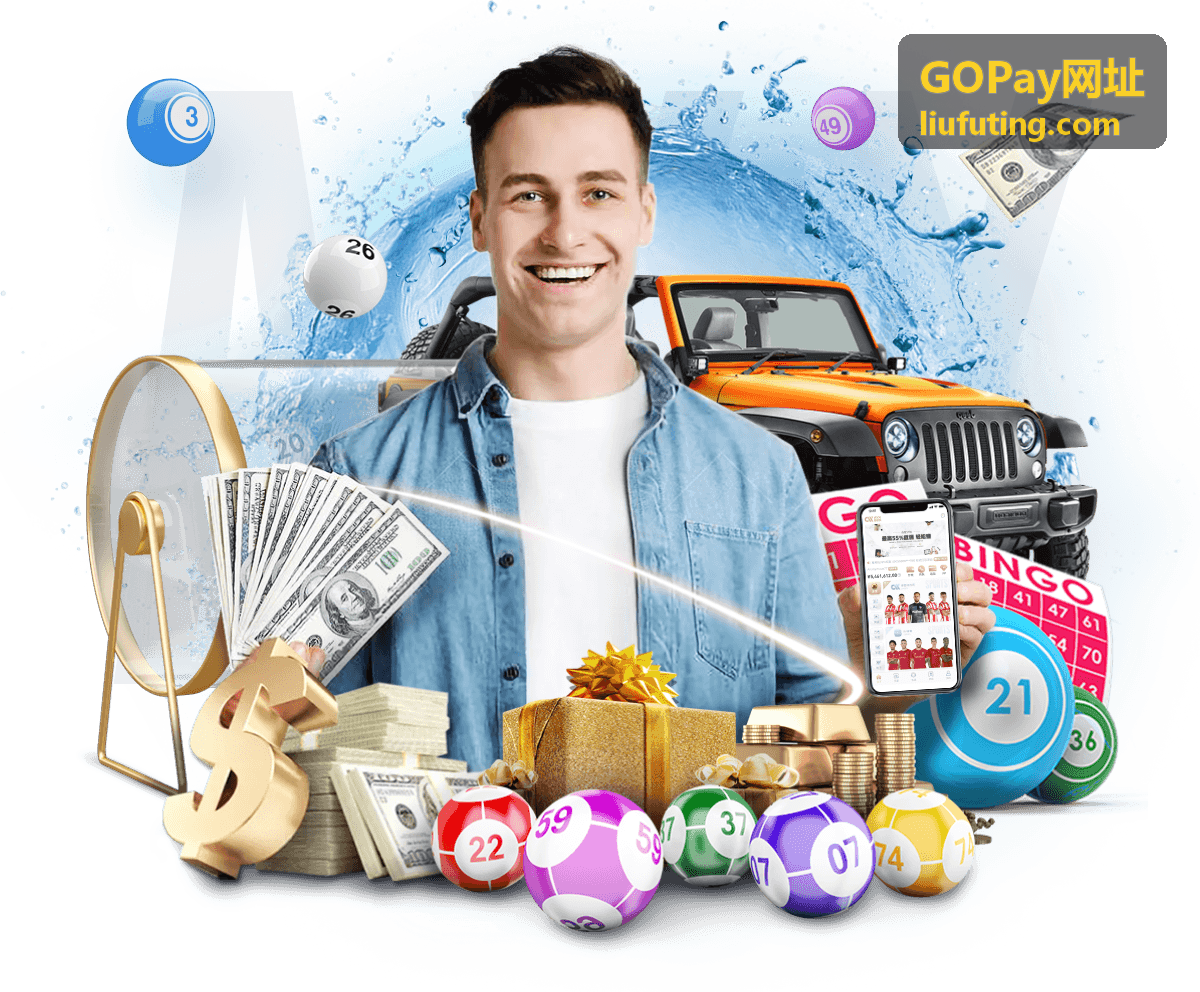 GOPay网址 接入过程状态图解